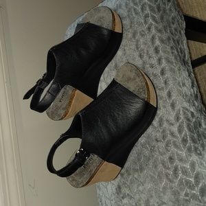 6.5 Pierre Dumas Platform Slides